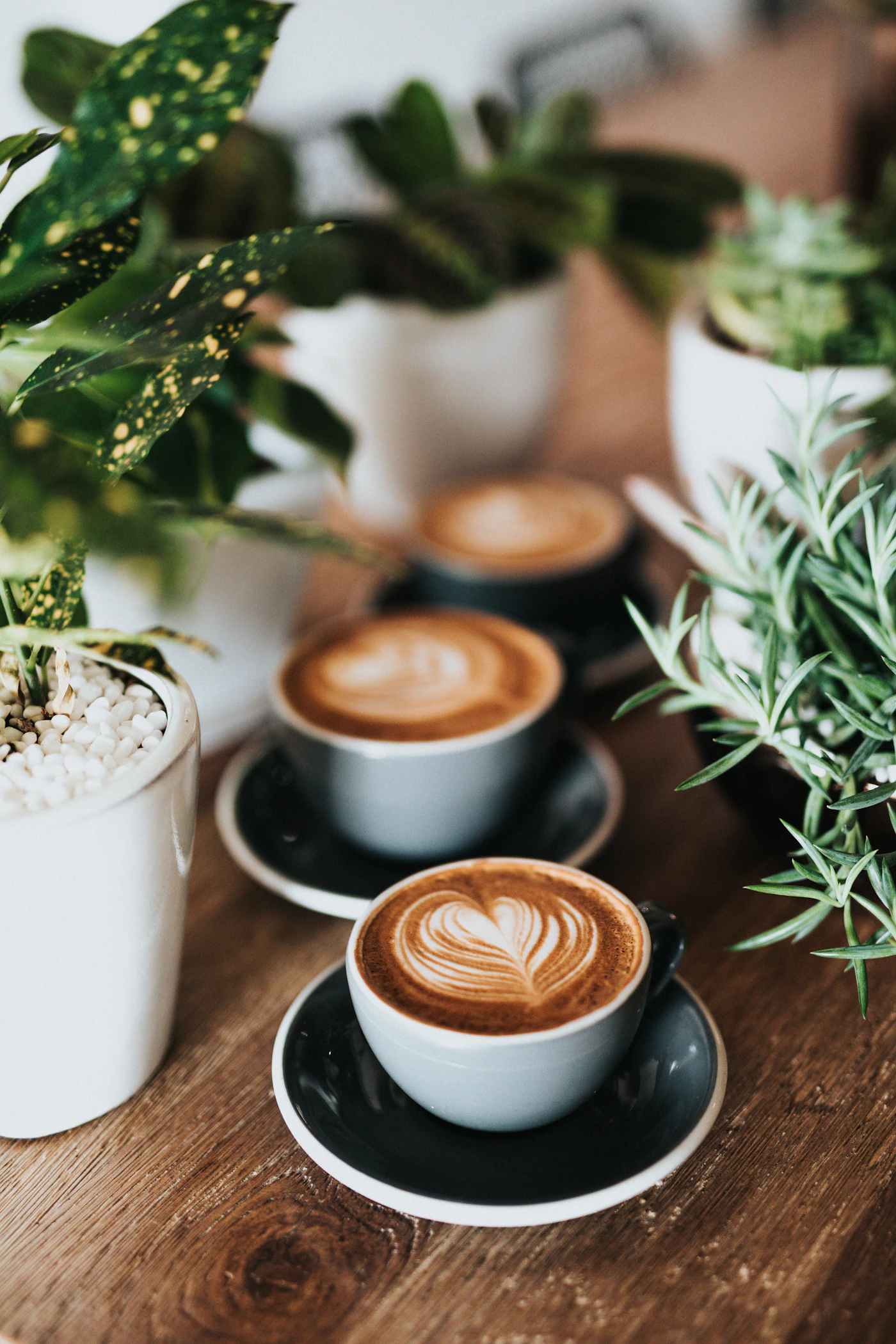 Espresso Express